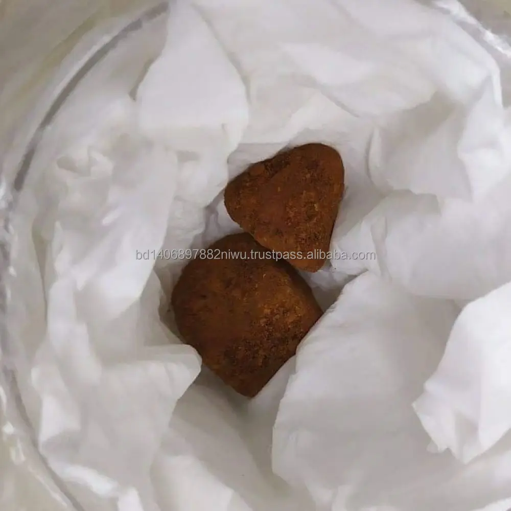 Natural and Pure top Quality Ox Gallstones Cattle Gallstones Cow Gallstones Buy Cow Gall Stones for sale