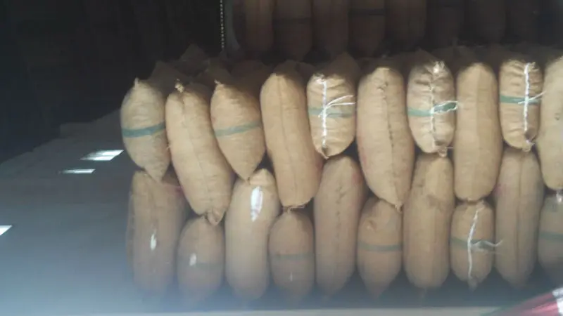 Высушенные орехи betel supari индонезийские экспорт из Афганистана