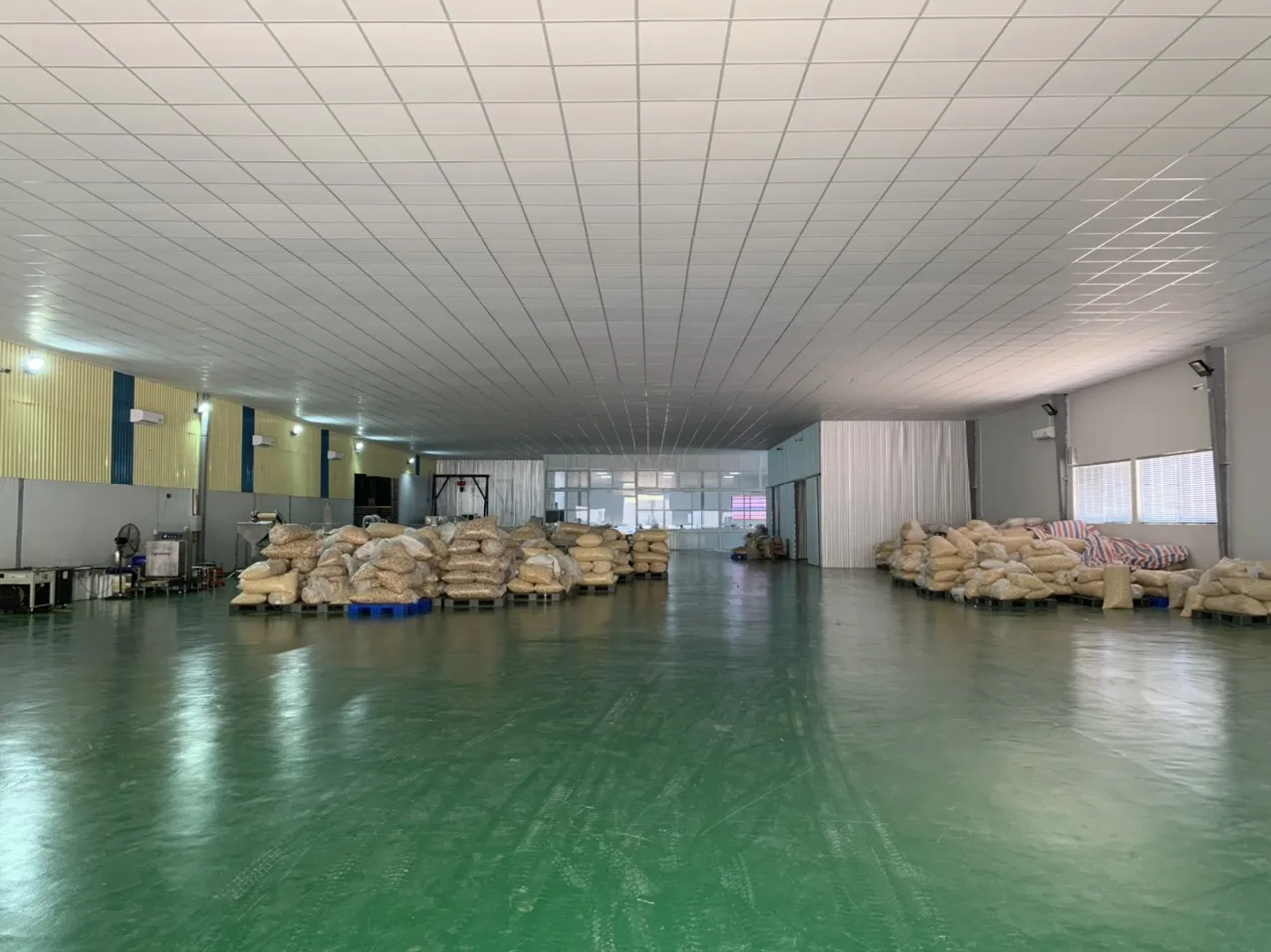 cashew milk and bakery Best Option Cashew nut kernels w240 w320 w450, High Quality Newest Crop 2022