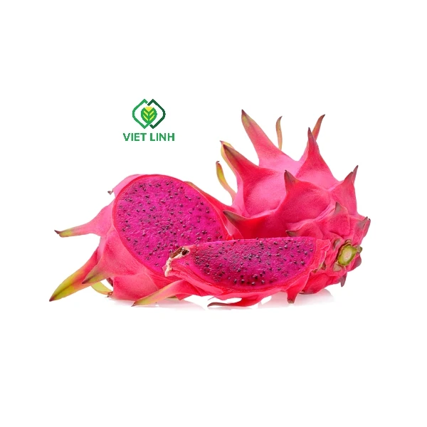 The best quality Fresh Dragon Fruit From farm Origin Vietnam For Export Natural Sweet Fresh Dragon Fruit