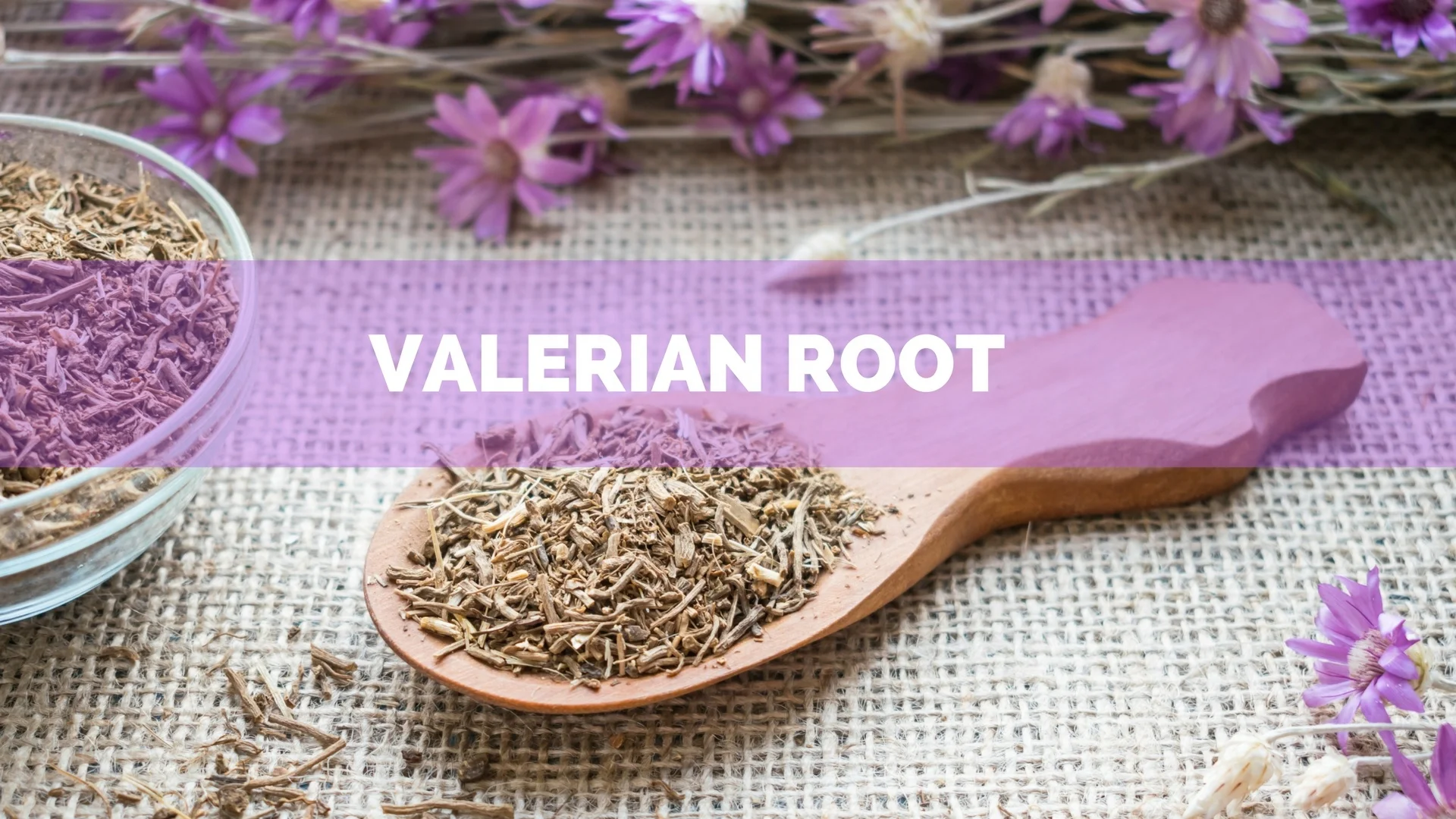 High Quality Valerian root (E) (10-30 %)  (Tagged Extract)  100% Organic valerian root extract powder from India