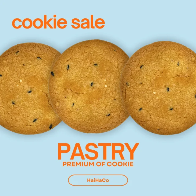 Popular Factory Price PASTRY cookie Vietnam Delicious cookie from HaiHa confectionery since 1960