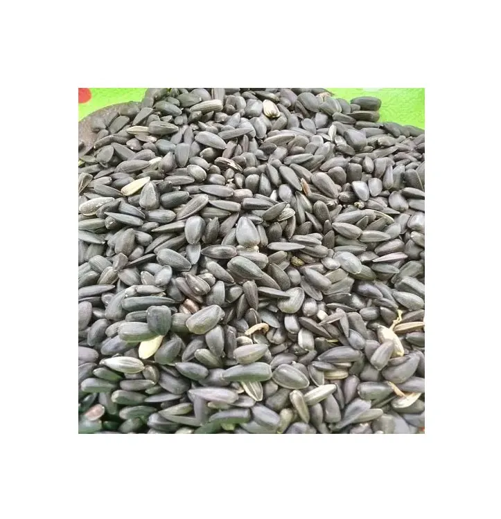 Top Selling New Crop Agriculture Products Natural Pure Sunflower Seeds from Nigeria at Wholesale Market Price