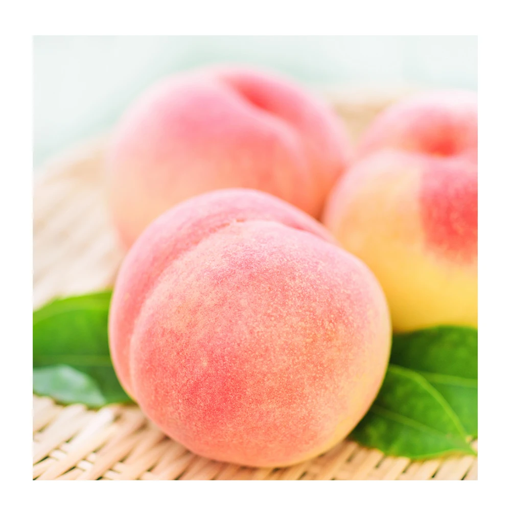 Fresh Peaches Nectarines big size peaches hot sale summer fruit juicy peaches