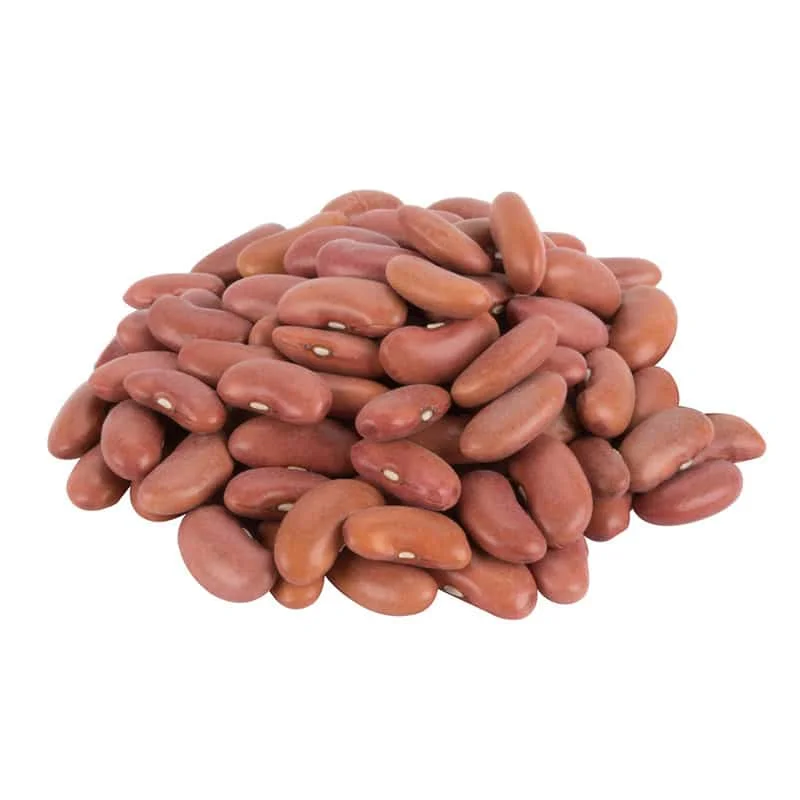 Cheap Factory White kidney beans large size 2022 new crop white kidney beans wholesale