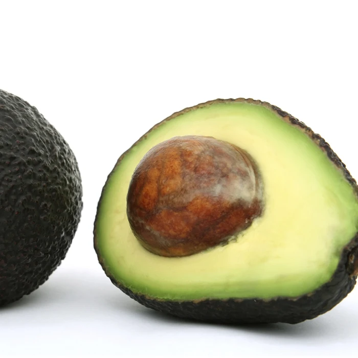 Premium Quality Hass Avocado