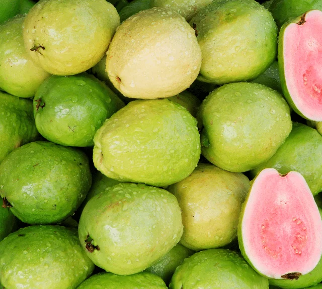 Guava Mobile banner_0.png