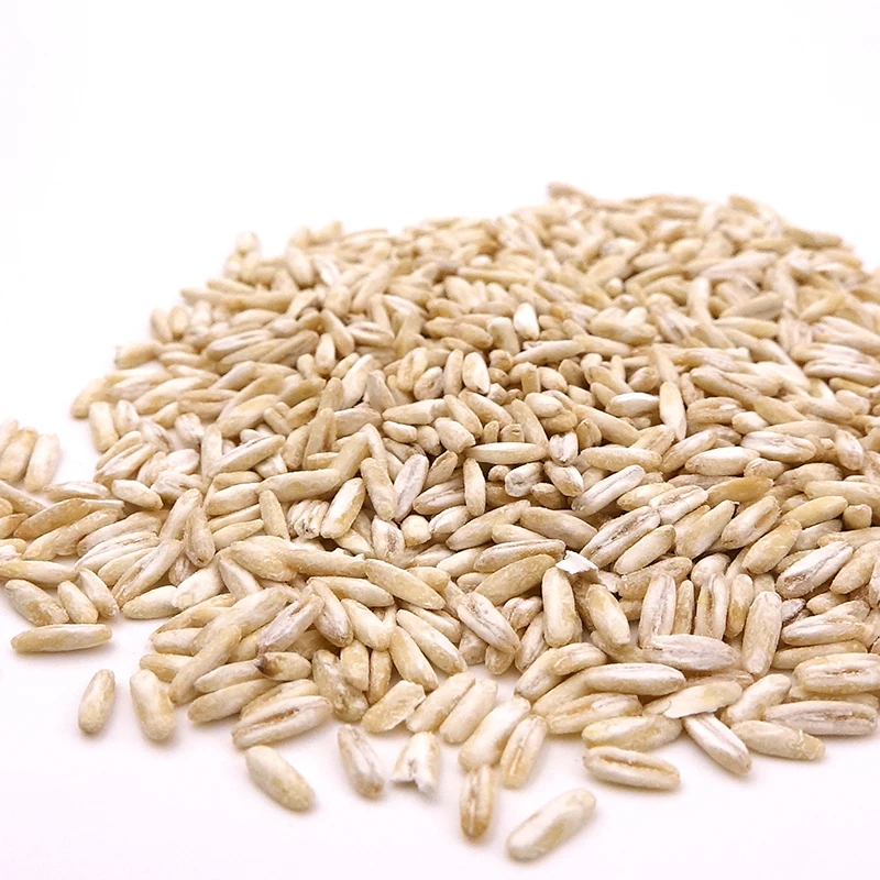 ORGANIC OAT, BARLEY, RYE, WHEAT GRASS GRAIN SEEDS -JUICING SPROUTING CAT GRASS