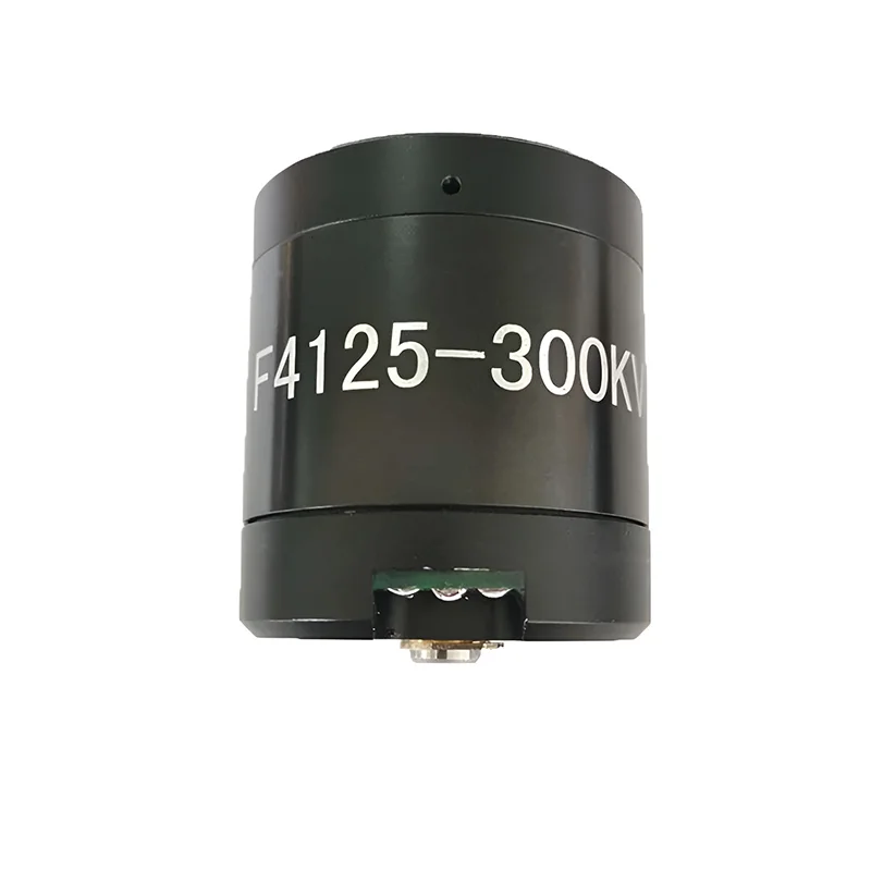 Faradyi Customized Waterproof Electric Motor With Hub Motor Brake 24V 12V 300W Motor