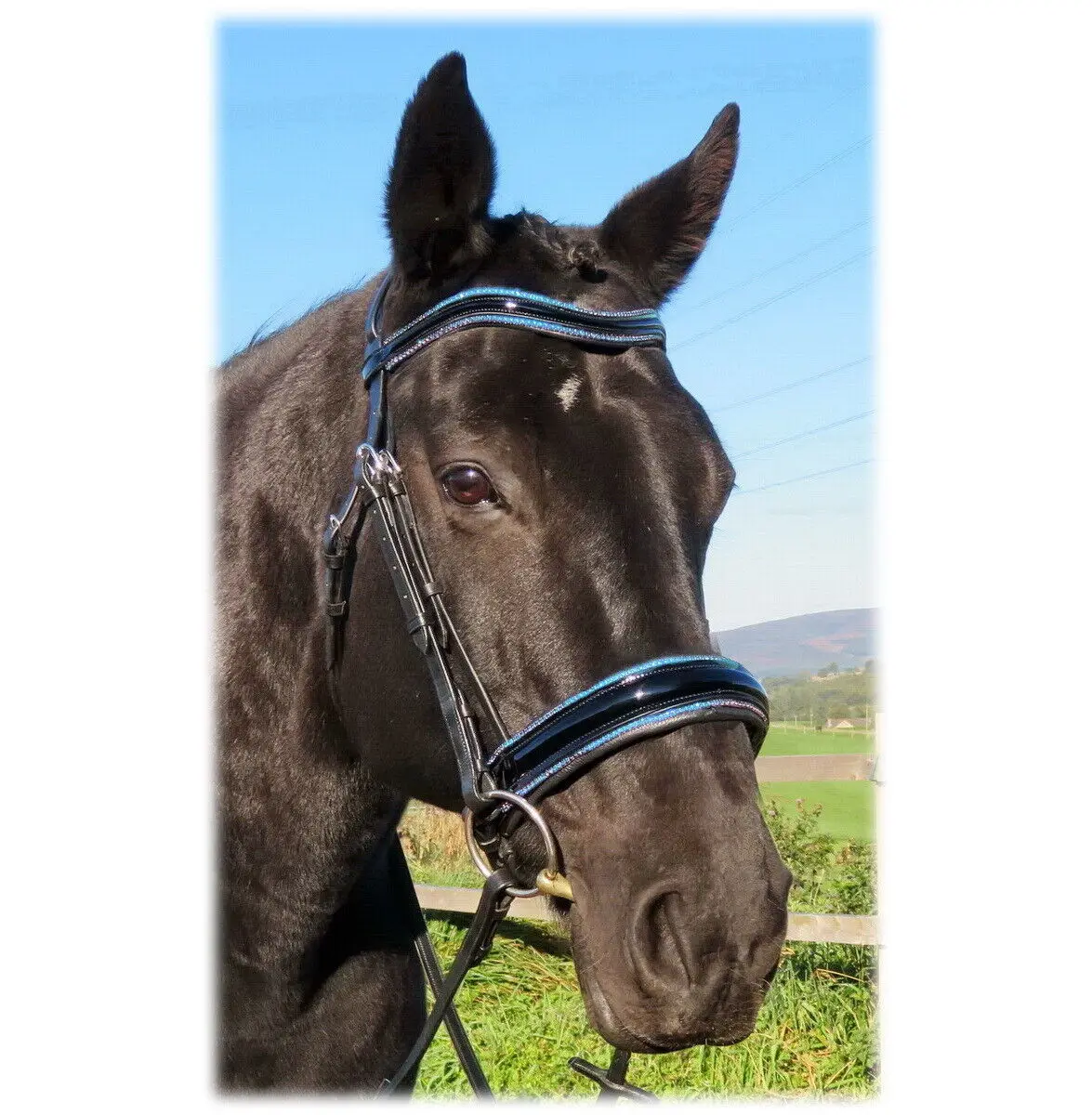 Anatomic Bridle Freeway Stellar AQUAMARINE BLUE Crystal Piping BLING Patent Hot Multi Color Genuine Leather Horse Bridle