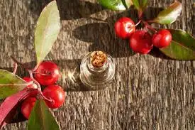 Wholesale High Quality and Reasonable Price Natural Wintergreen Essential Oil
