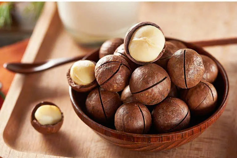 High Standard and High Quality Roasted Macadamia Nuts From Vietnam Crunchy and Flavorful Dried Nuts