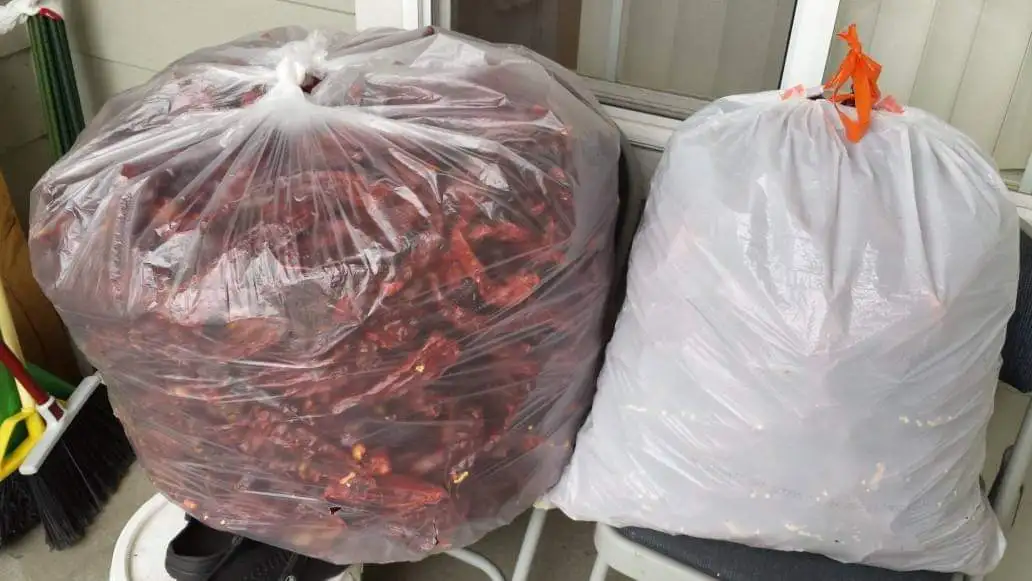 Hot Red Pepper 100% Dried Stem Free Very Good Price From Thailand