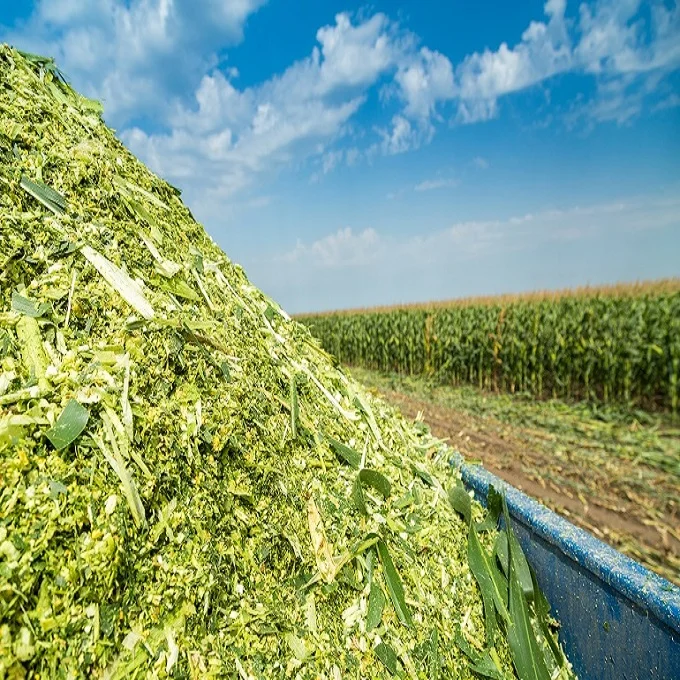 Packed silage bales available for export | Silage Experts Africa