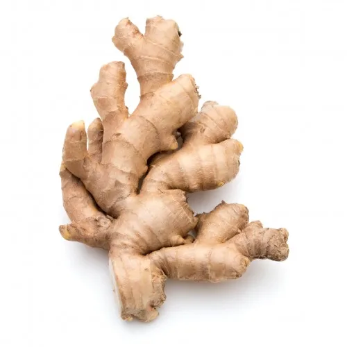 Good Quality Fresh Ginger Ginger fresh  Fresh Ginger For Sale.