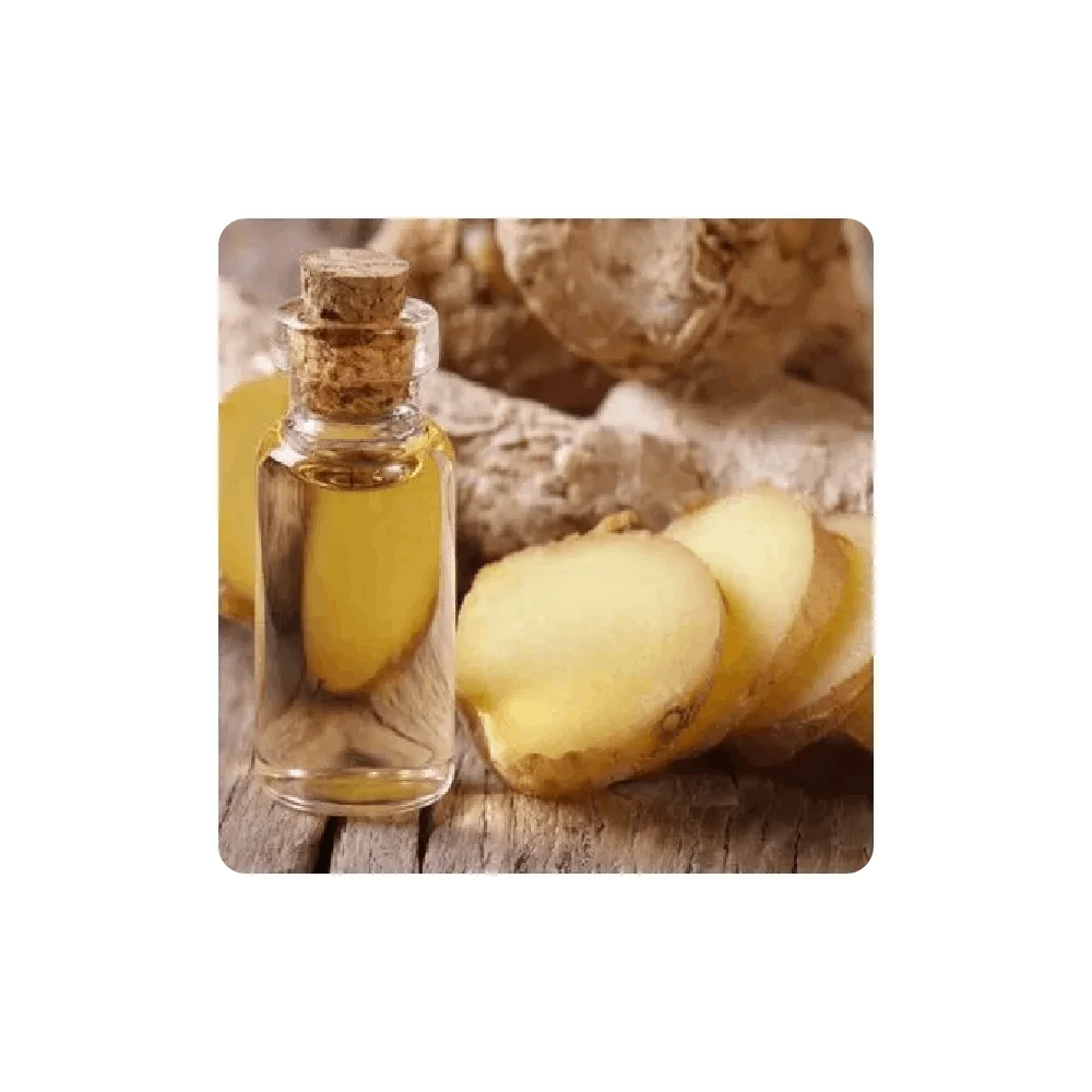 Fast Delivery High Quality 100% White Ginger Oil for Hair Growth Indian Ginger Oil for Sale