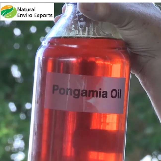 Wholesale 200 Liter HDPE Barrel Karanja Seed Oil From India