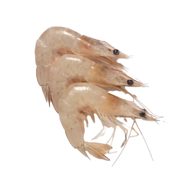 Trusted dealer in fresh,chilled White Shrimp - Litopenaeus vannamei hot selling product, new arrival