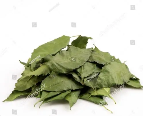 Wholesale Exporters and Manufacturers for Premium Quality Organic Neem Dried Leaves from South India with Good Packing and Price