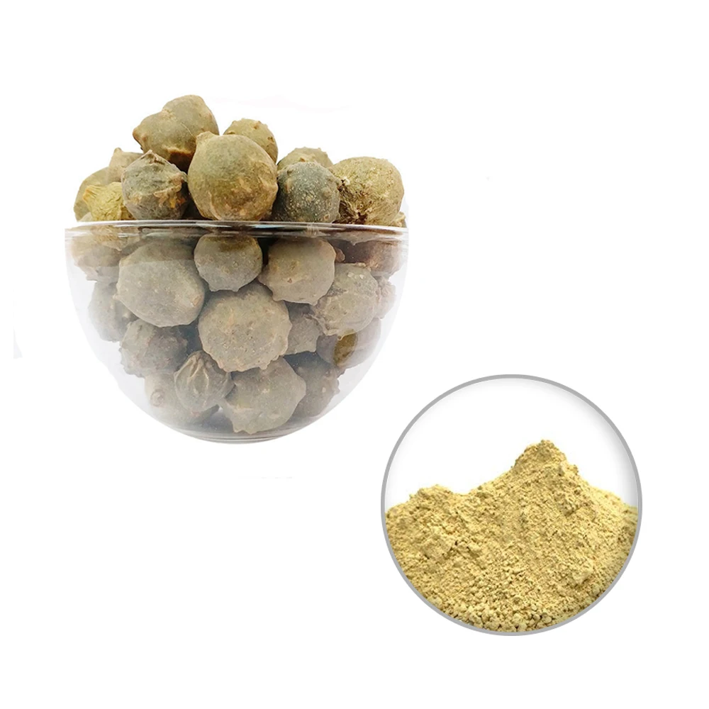 Best In Market Masikkai Majuphal Powder Bulk Manufacturer Exporter