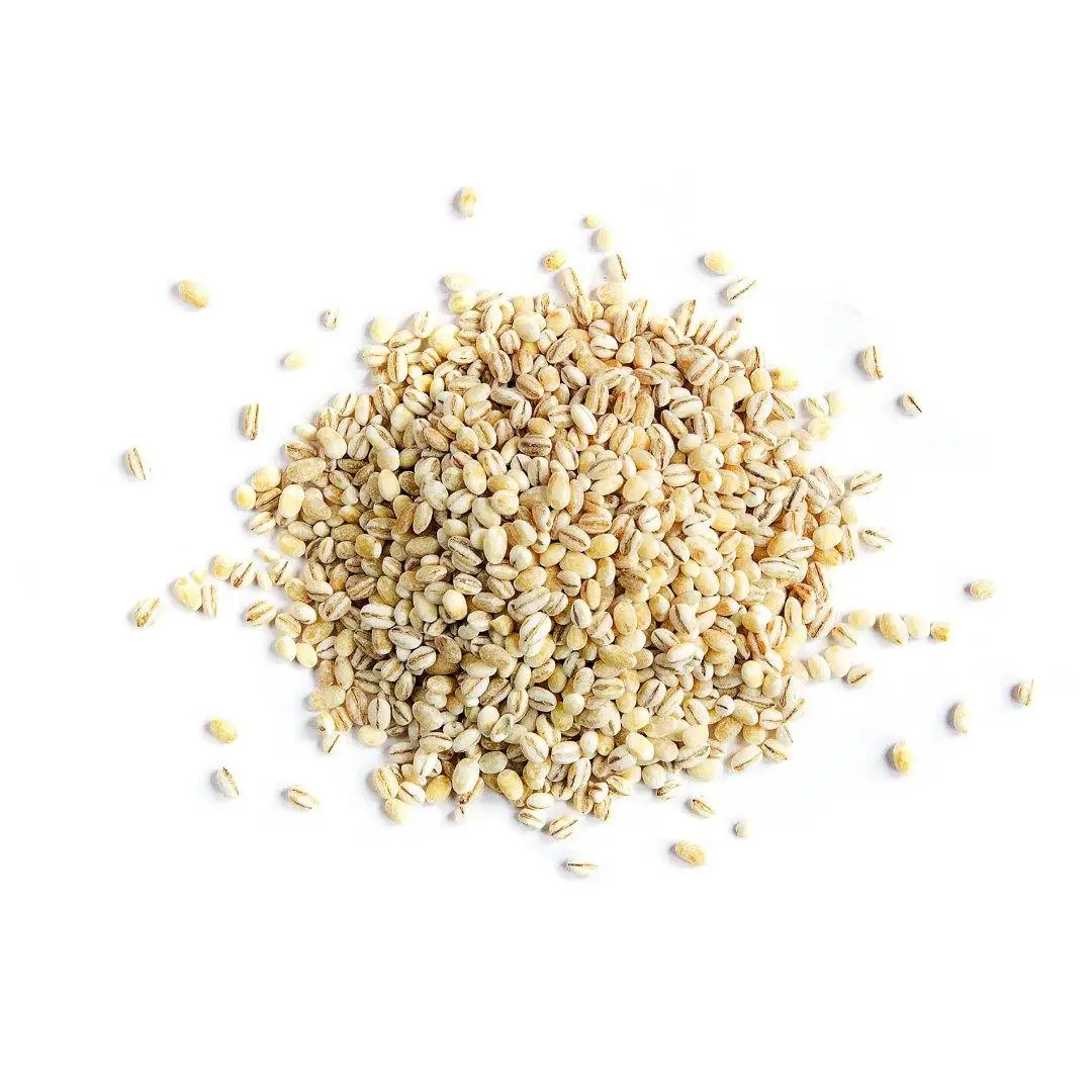 High Quality Malted Barley Animal Feed Grains Bulk Pure Natural Ready For Export Malted Barley for All Livestock Needs