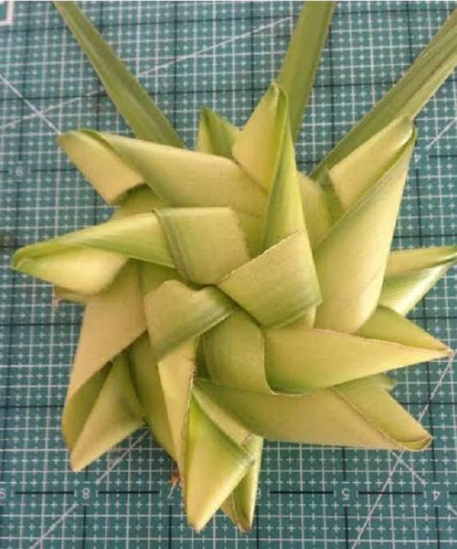 Palm leaves - Dried Palm Leaves | Date Palm Leaves |  Palm Fronds