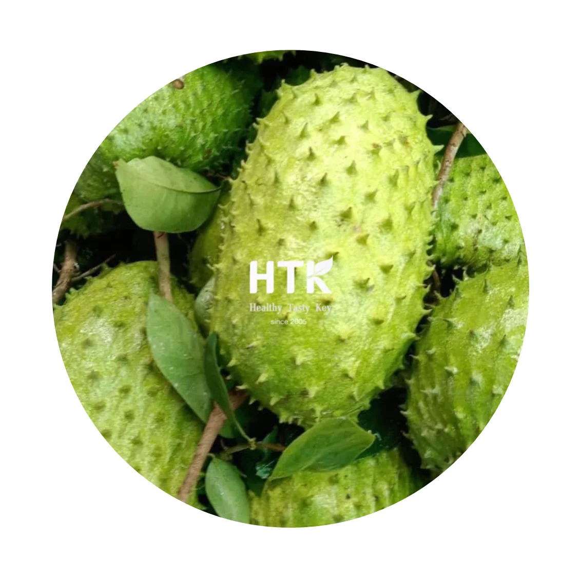 2022 FROZEN SOURSOP GRAVIOLA GUYABANO PUREE Made In Vietnam Factory from HTK FOOD for Food & Beverage