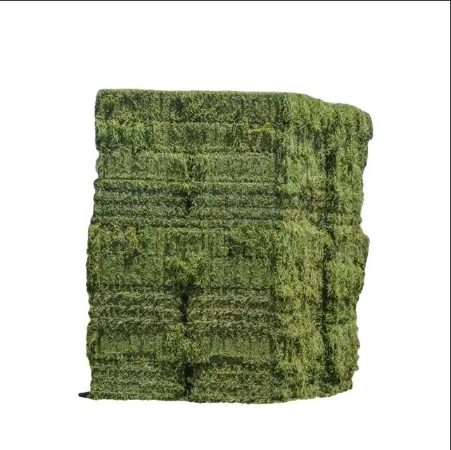 Whole Sale Alfalfa Hay for Animal Feeding Good Price