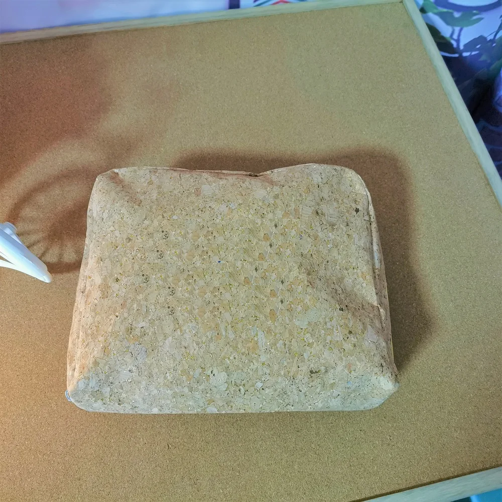 Manufacturer OEM cosmetic pouch bag cork  with lining cosmetic bag for women