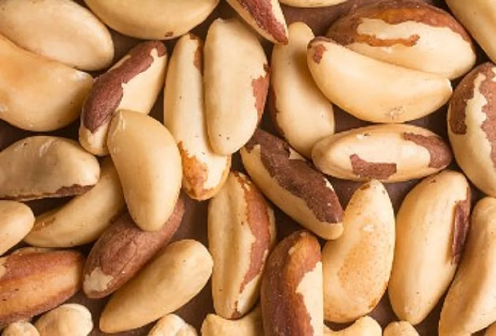 Organic Brazil Nuts for sale