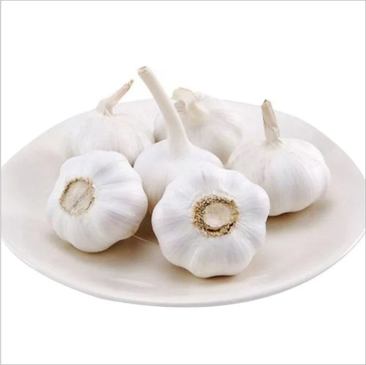 Pure White Fresh Garlic Garlic