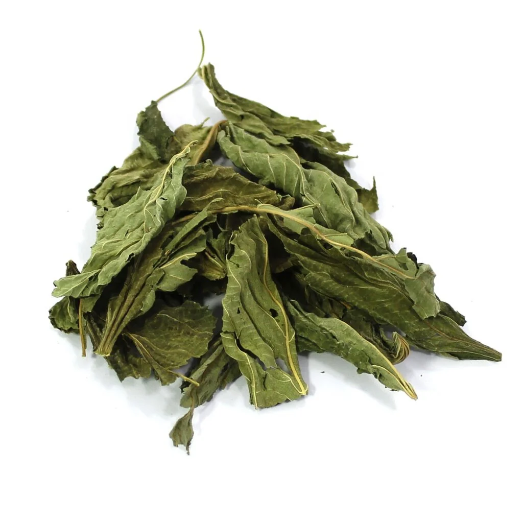 Wholesale Molokhia Leaves  Natural Egyptian Molokhia Leaves 100% Pure Organic Premium Grade Molokhia Herbs