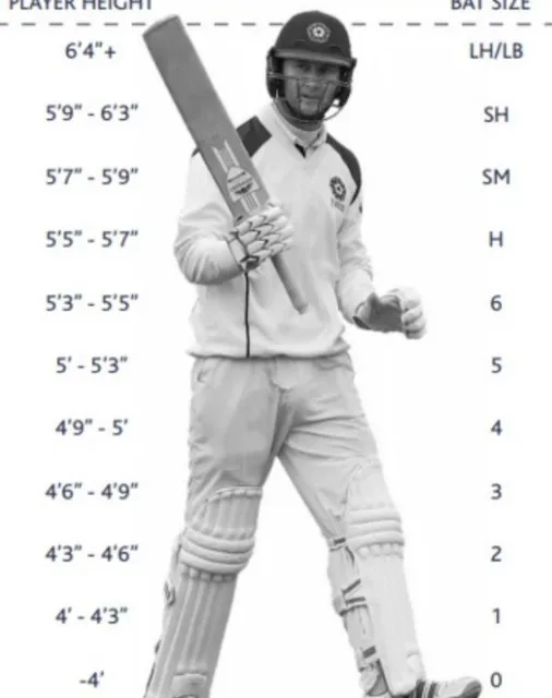 High Quality Customize High Grade English Willow Cricket Bat Srinika Sports