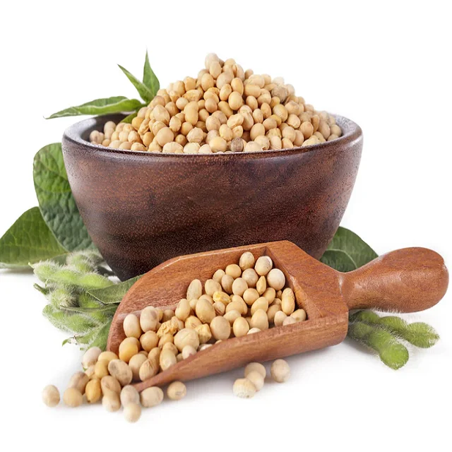 GMO and Non GMO Soyabean/Soybean for Sale Soybeans Soya Soja Bean Common High Quality