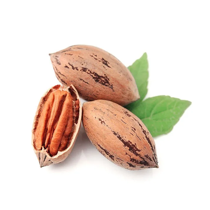suppliers Pine Nuts, Pecan Nuts, Pine Kernels