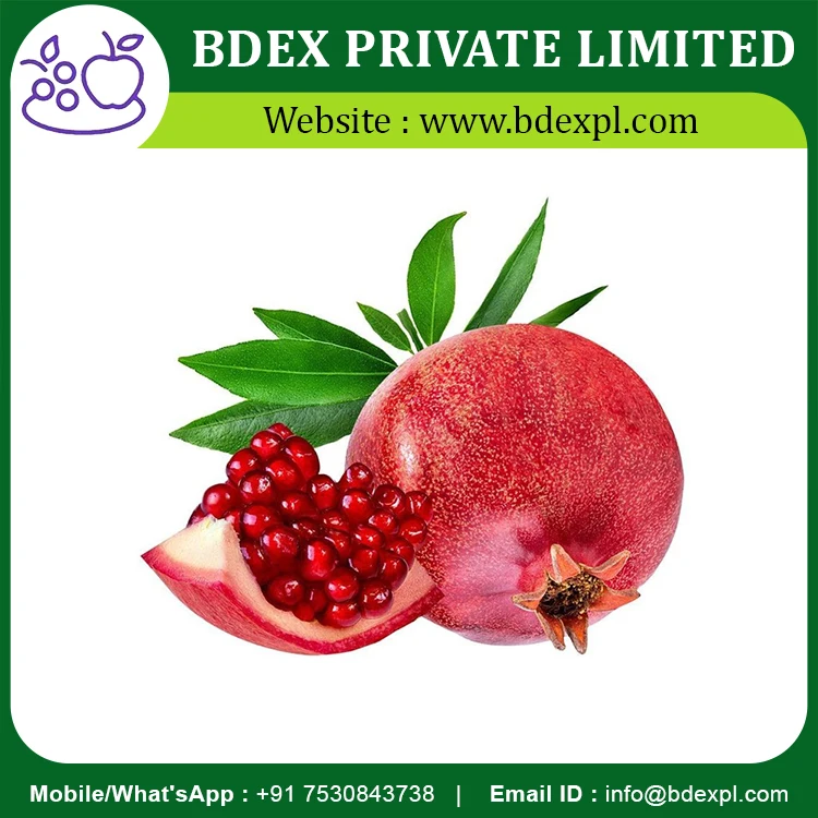 Fresh Pomegranate Fruits Available At Wholesale Price