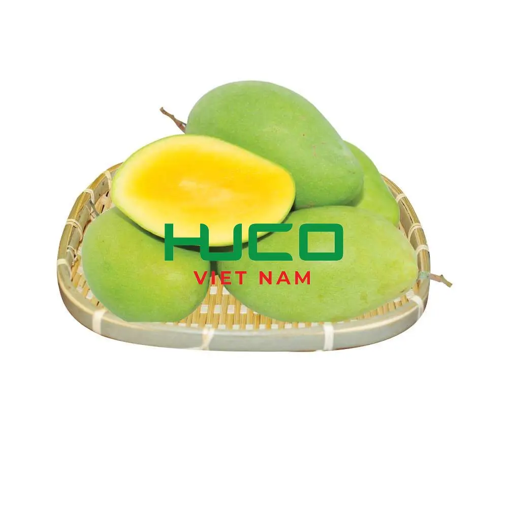 Premium Quality Competitive Price  Fresh Mango Fruit Exported from Vietnam