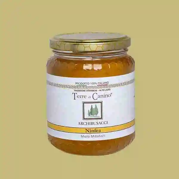 500 gr Pot Best Quality Italian Organic Wildflower Honey for restaurant and private
