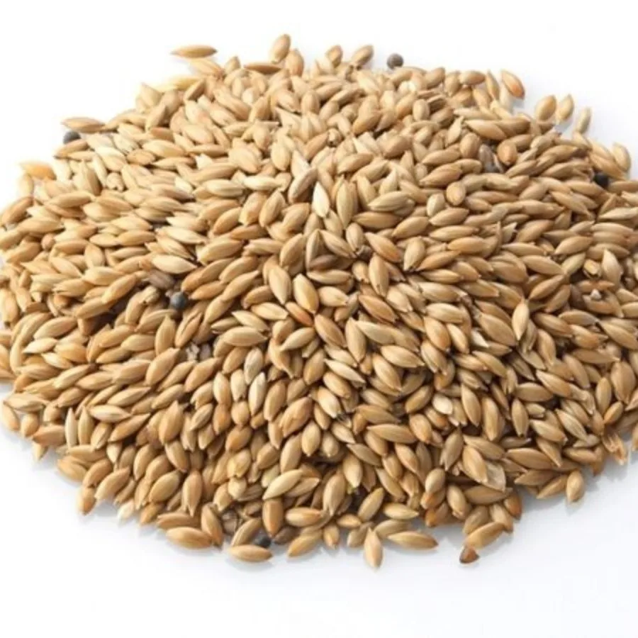 Birds Food Canary Seed Wholesale / Canary Bird Seeds for Sale Buy Bulk / Processed Natural Birds Food AA Grade