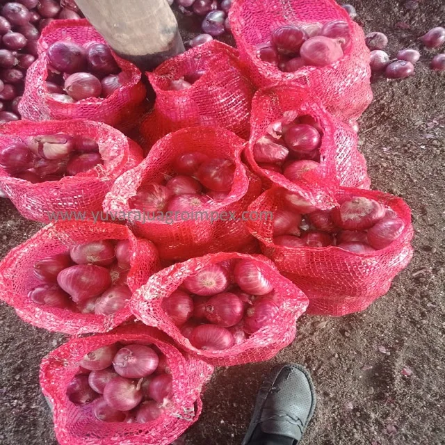 New seasonal arrival natural pink color big onion Exporters in India to Bahrain Sri Lanka Malaysia Mauritius