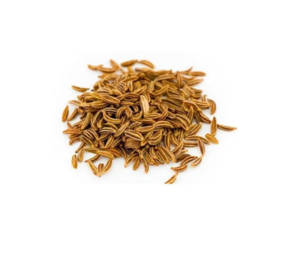 High quality cumin seed