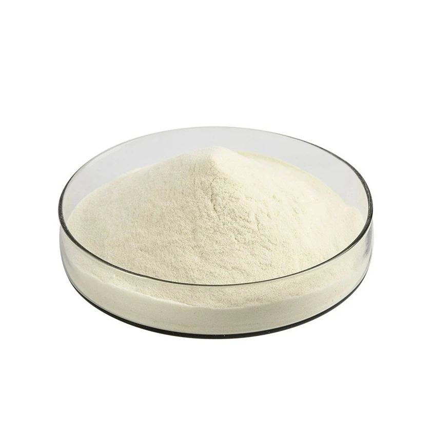Low Prices DHA Powder with 100% Pure Bulk Quantity Herbal Creative White DHA Powder For Sale By Indian Exporters
