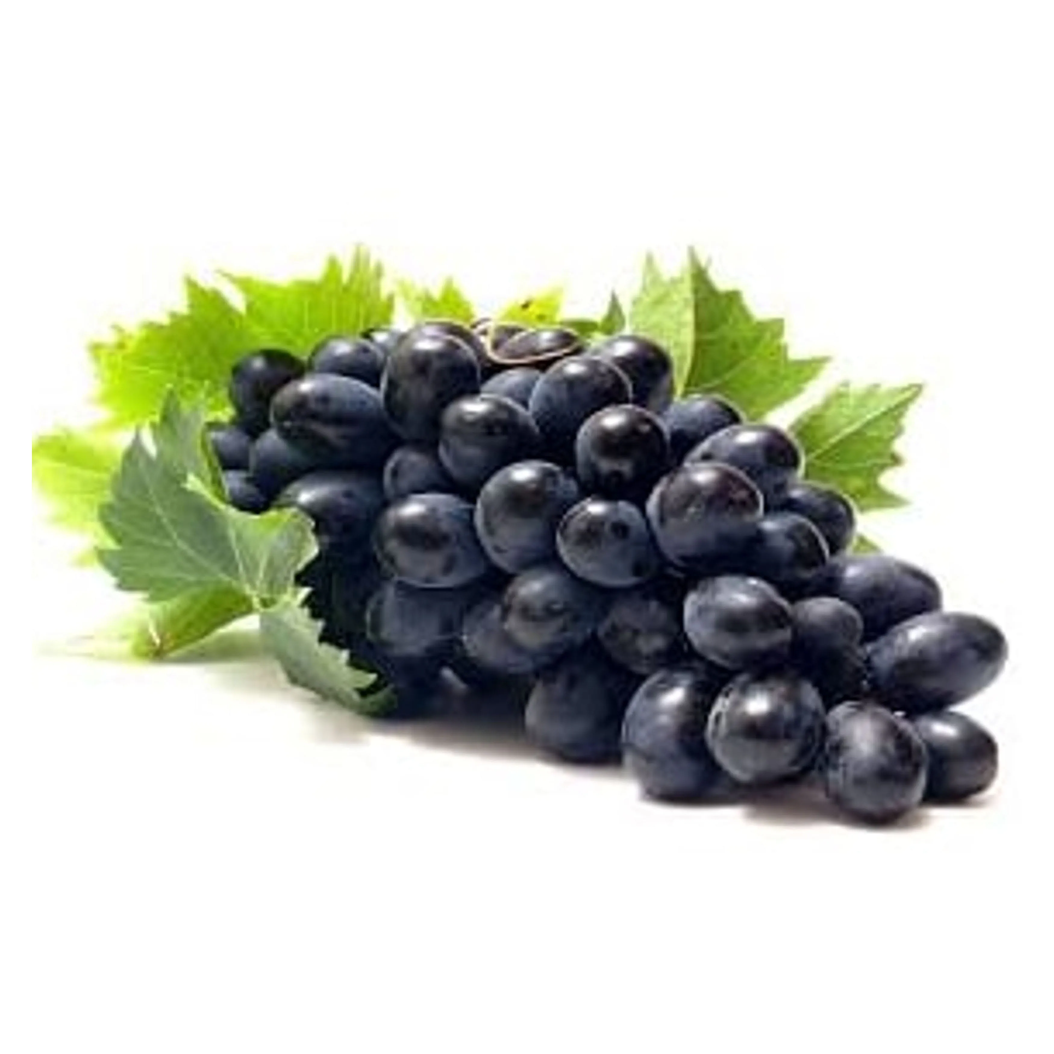 Best Quality New Fresh Green Grapes Crimson Seedless Fresh Fruit Grape for Export Fine starts with good grapes