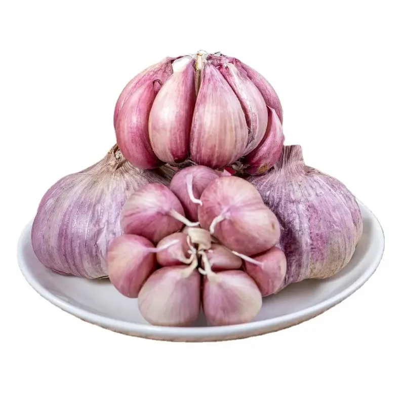 Wholesale Fresh Garlic Supplier | Red & White Garlic | Chinese Garlic Bulk