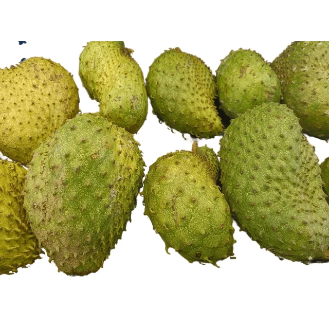High Quality Frozen Soursop with Pulp Best Prices Directly Sourced from Vietnam for Wholesalers and Importers (+84983028718)