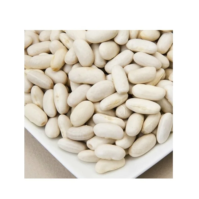 Best Quality Wholesale white kidney Beans For Sale In Cheap Price 100%