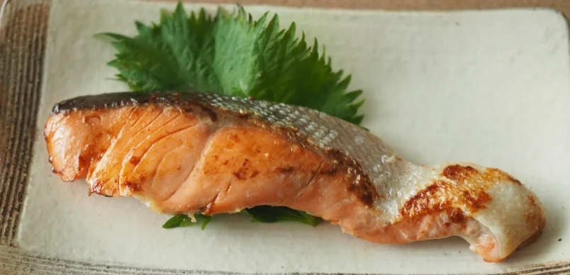 Organic Japanese Coho Salmon Fillet Light Salted Fresh Dried Whole Fish Preserved in Oil Organic Seasoned Seafood Frozen Dishes
