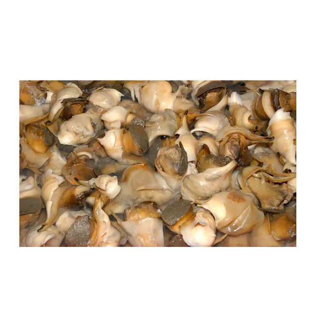 Frozen Conch Meat Seafood Wholesale