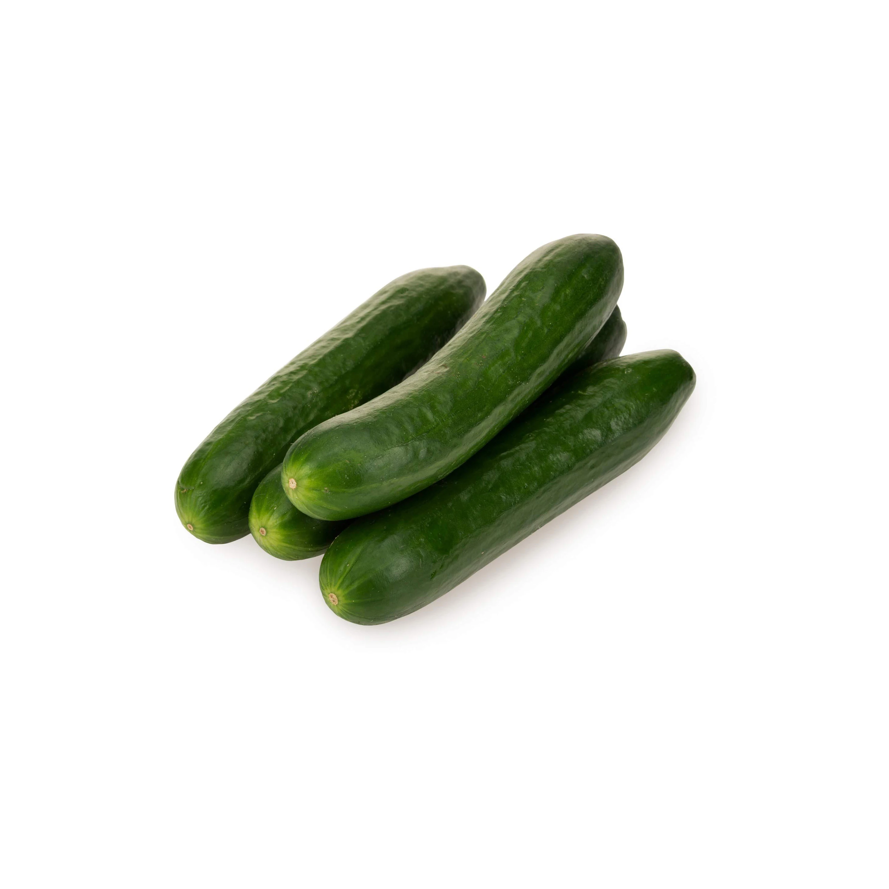 Premium Fresh Cucumber - Best Price High Quality Vegetable Available in