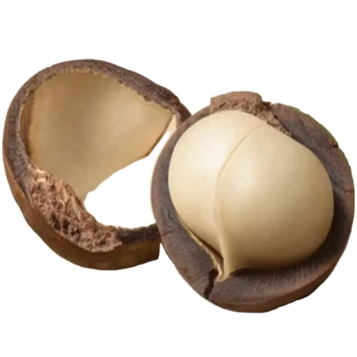 Вьетнамская макадамия, натуральные треснувшие жареные сушеные орехи макадамия большого размера